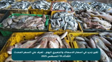 تغير جديد في أسعار الأسماك والجمبري اليوم.. تعرف على السعر المحدث الثلاثاء 19 أغسطس 2025